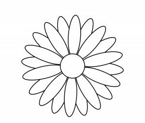 Рисунок лепесток ромашки