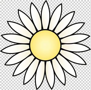 Черно-белые штриховые рисунки Бесплатный контент, шаблон ромашки, фотография, подсолнечник, симметрия png