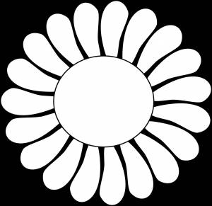 Шаблон цветка ромашки