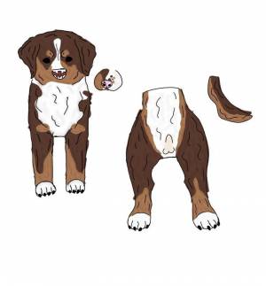 Схемы бумажных собак