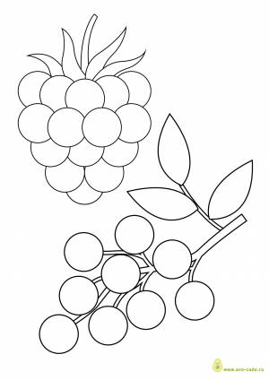 Трафареты фруктов и ягод для вырезания а4   и