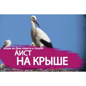 Аист на крыше рисунок