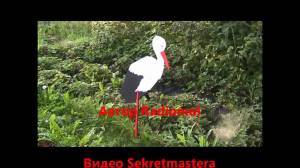 Как сделать аиста своими руками
