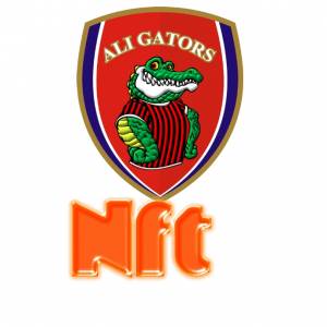 Шаблон логотипа аллигатора, флаер, брошюра в инстаграме