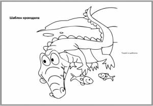 Шаблон крокодила  и