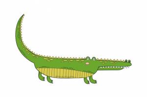 Крокодил, аллигатор