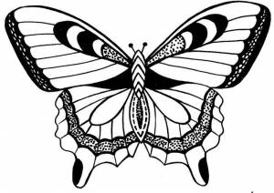 Бабочки из пластиковых бутылок