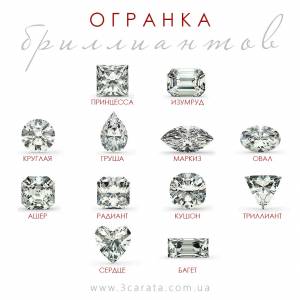 Физика, химия и