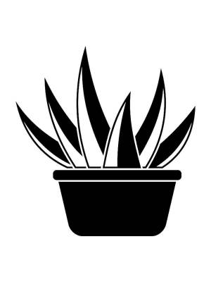 Трафареты Алоэ