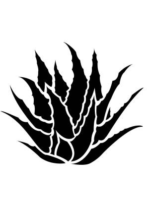 Трафареты Алоэ