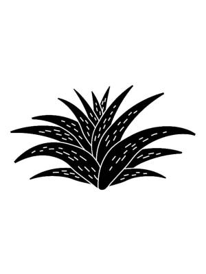 Трафареты Алоэ