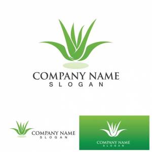 Шаблон векторной иллюстрации логотипа алоэ вера