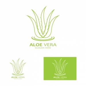Шаблон векторной иллюстрации логотипа алоэ вера