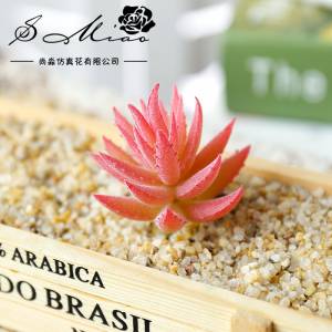 Искусственные мини-суккуленты, алоэ настоящее, искусственная фототрава, цветы «сделай сам», украшение для дома и сада, без цветочного горшка, 11 шт