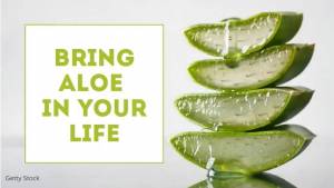 Шаблон алоэ вера продукты маркетинг видео реклама промо