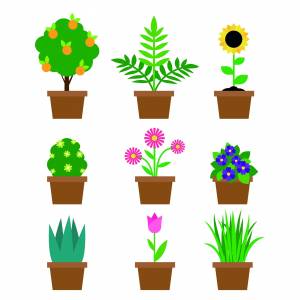 Трафарет кактус листья, металлические пресс-формы для бонсая, растения с алоэ в горшке, украшение для скрапбукинга, «сделай сам»