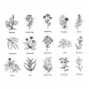 Прозрачные сконовые трафареты для краски, трафареты для офисных принадлежностей, трафареты для «сделай сам», скрапбукинг, школьные принадлежности 16