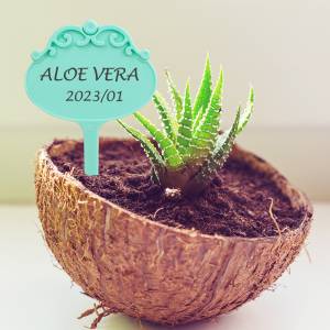 Качественный садовый цветочный шаблон для посадки пластиковый ПВХ записываемый ярлык водостойкий многоразовый маркер в горшке табличка для классификации