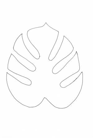 Трафарет для тонировки