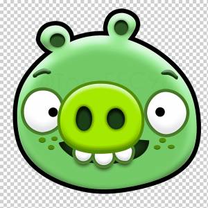 Эволюция Птиц, Плохие Свинки, Злые Птицы, Эволюция Злых Птиц, Видеоигры, Rovio Entertainment, Игра-Головоломка png