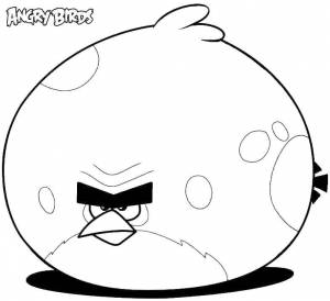 Раскраски Раскраска Большая птичка angry birds