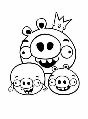 Раскраска № 4127 Angry Birds «Злые птицы»