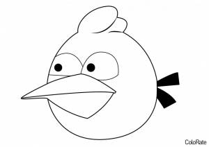 Раскраска Синяя птичка Angry Birds