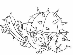 Раскраски Раскраска Свинья angry birds