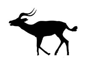 Трафареты Антилопы