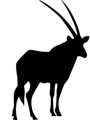 Трафареты Антилопы