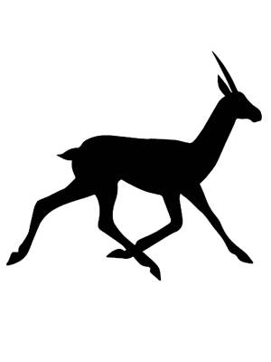 Трафареты Антилопы