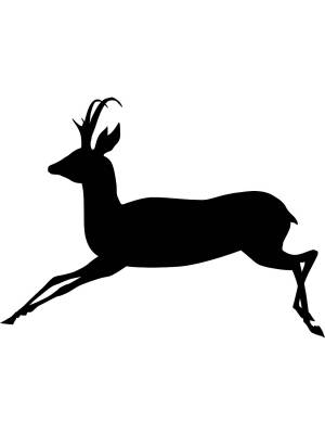Трафареты Антилопы