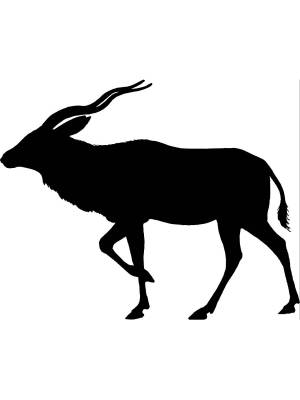 Трафареты Антилопы