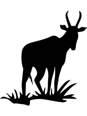 Трафареты Антилопы