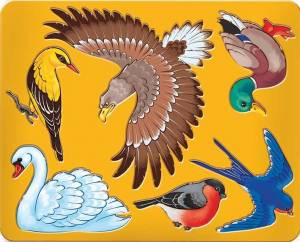 Трафарет шаблонный Луч Птицы