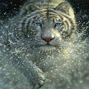 Алмазная мозаика 30х30 см Тигр