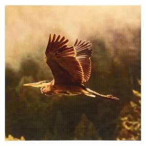 Картина без обрамления Симфония Птица 30x30 см по цене 609 ₽