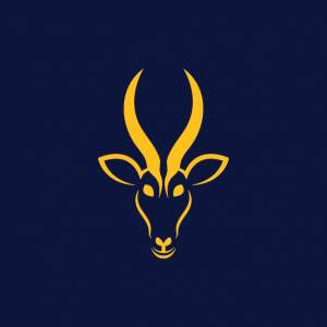 Логотип головы антилопы и векторный шаблон