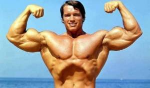 Тренировочные советы Арнольда Шварценеггера от «А» до «Я»