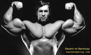 Бицепс Арнольда