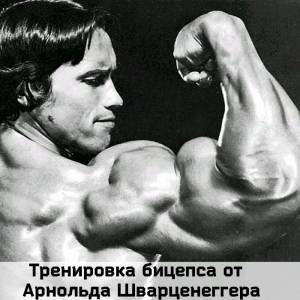 Тренировка бицепса от Арнольда Шварценеггера