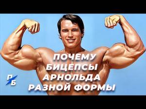 Почему бицепсы Арнольда Шварценеггера разной формы