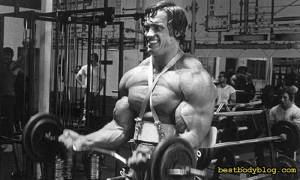 Бицепс Арнольда