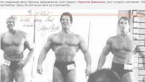 Рост Шварценеггера всего 180 см, а бицепс лишь 49