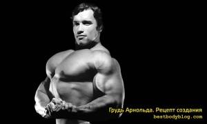 Грудь Арнольда