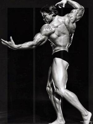 Шварценеггер на пике формы