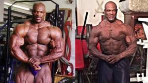 ВСЕ ЧЕМПИОНЫ ОЛИМПИИ НА ПИКЕ ФОРМЫ