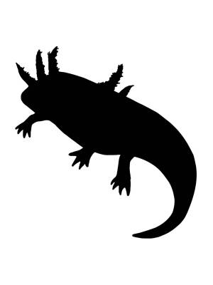 Трафареты Аксолотль