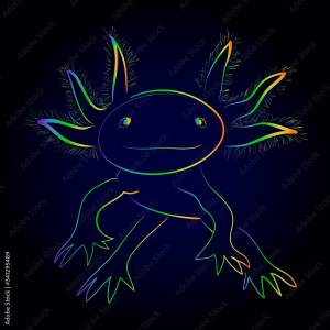 Isolated vector illustration of stylized rainbow axolotl