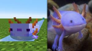 Рисунки майнкрафт аксолотль квадратный